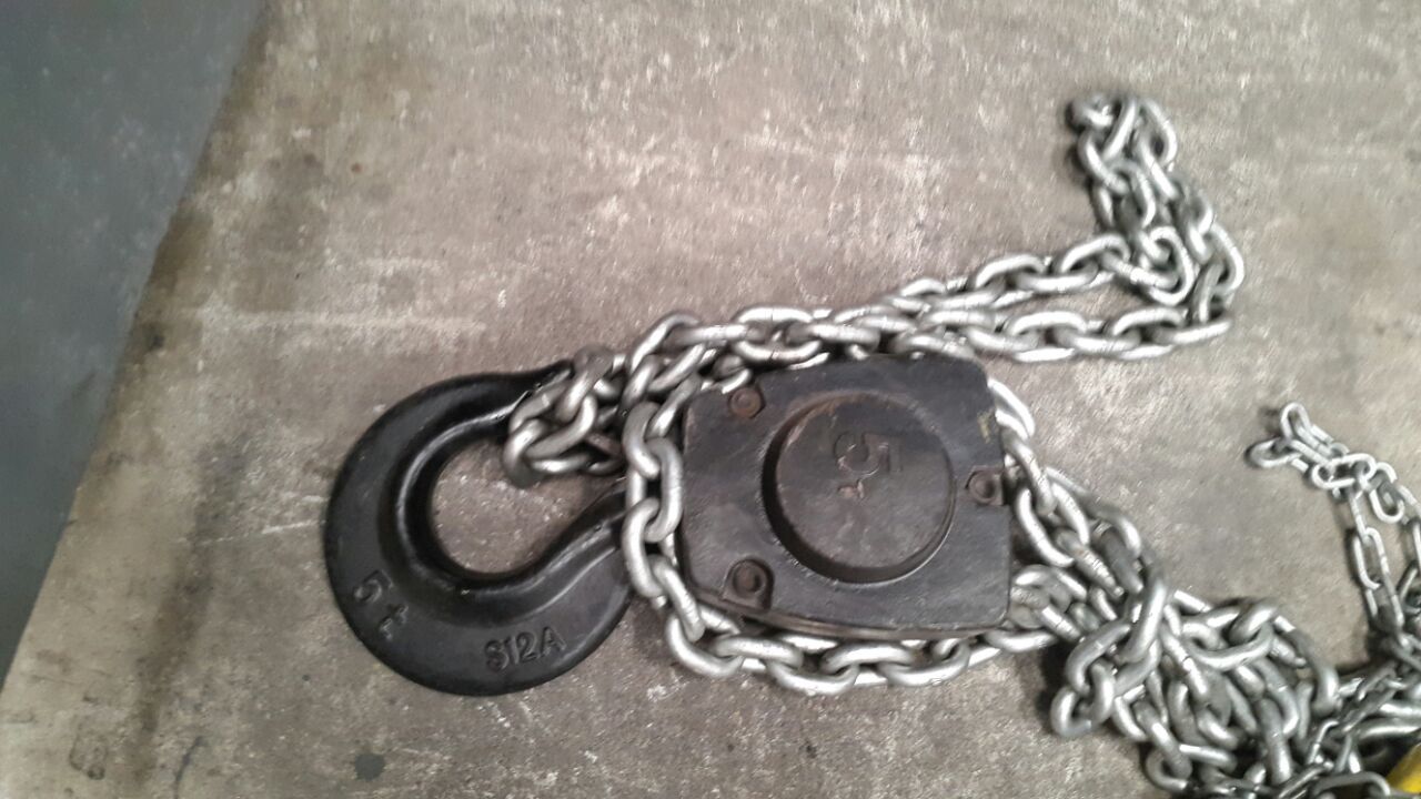 Especialistas en planta